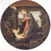 Sandro Botticelli Madonna in Adoration of the Christ Child oil painting reproduction